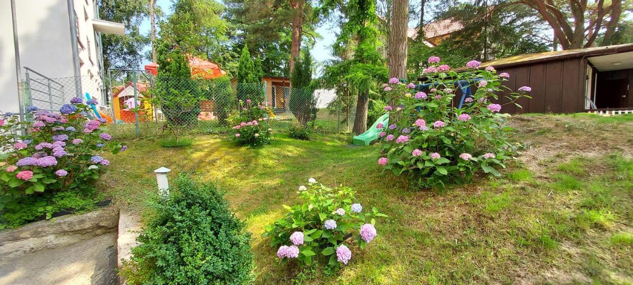 Villa Azalia Jastrzębia Góra Dış mekan fotoğraf