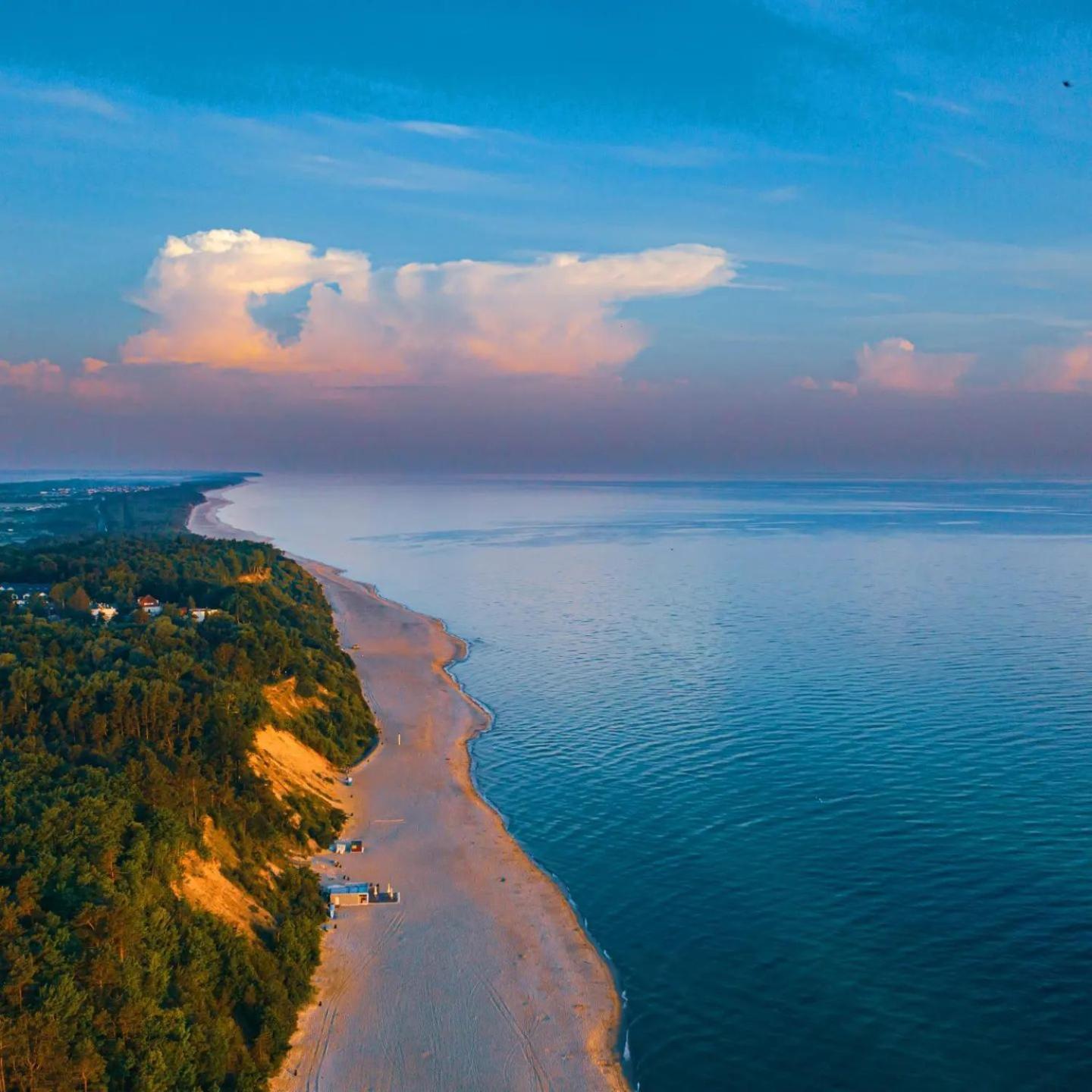 Villa Azalia Jastrzębia Góra Dış mekan fotoğraf